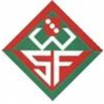 SGM Wernauer SF:Inter Nürtingen Logo Wappen